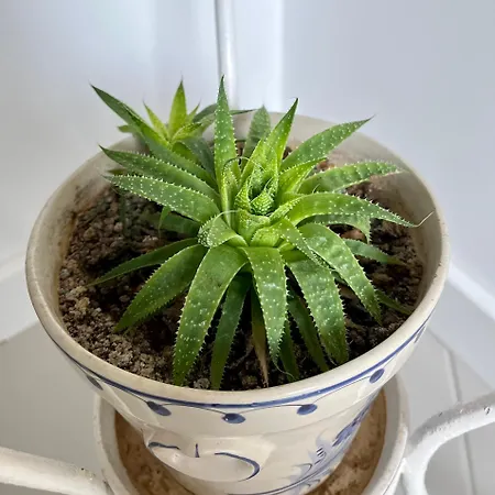 Vakantiehuis Casa Courelas *