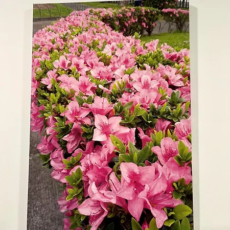 Casa Courelas * Nordeste (Azores)