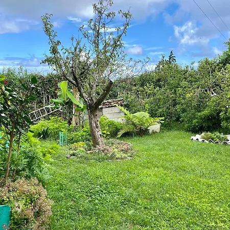 Dom wakacyjny Casa Courelas Nordeste (Azores)