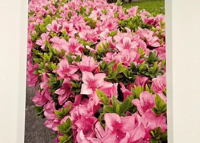 Casa Courelas * נורדסטה